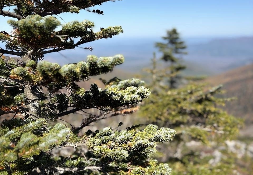 IMAGE 2025-10-09 123221.jpg